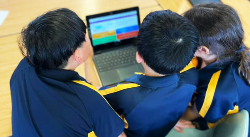 High Needs Enrolments at Holy Family Primary Granville