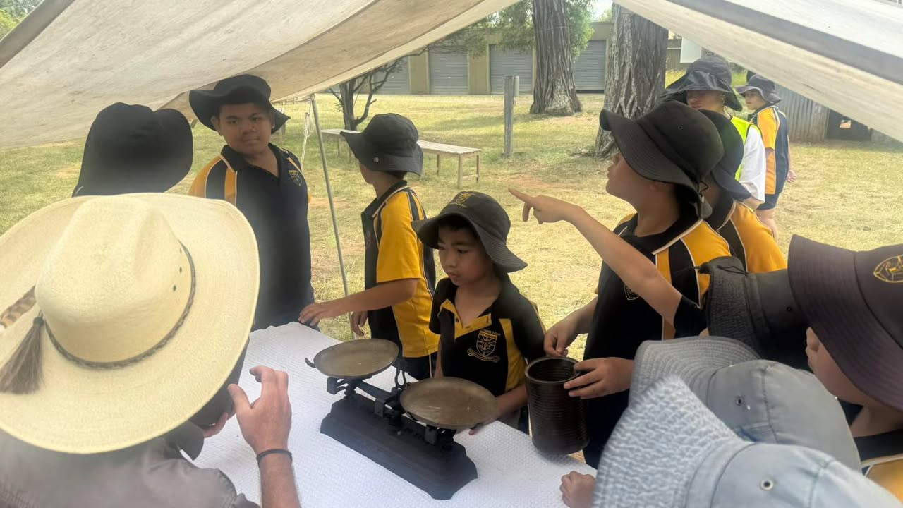 575065817749614_1452128566709997-1