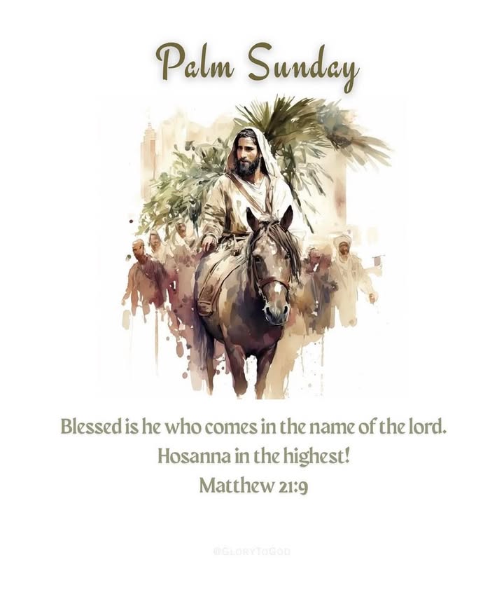 575065817749614_1454481063141414-1